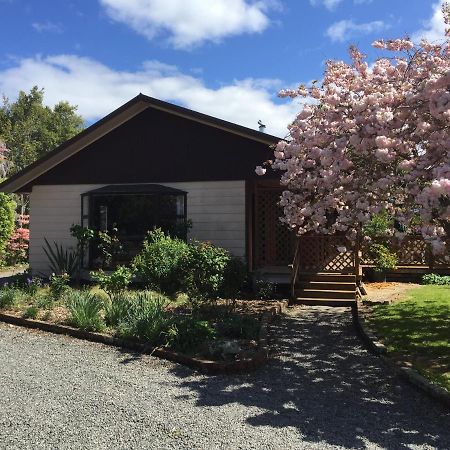 Chris'S Cabin Greytown Esterno foto