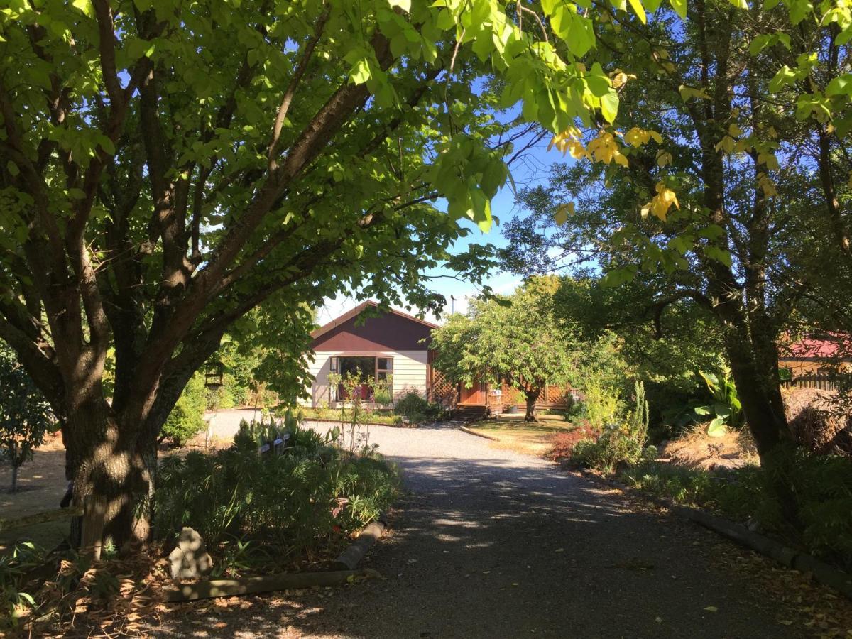 Chris'S Cabin Greytown Esterno foto